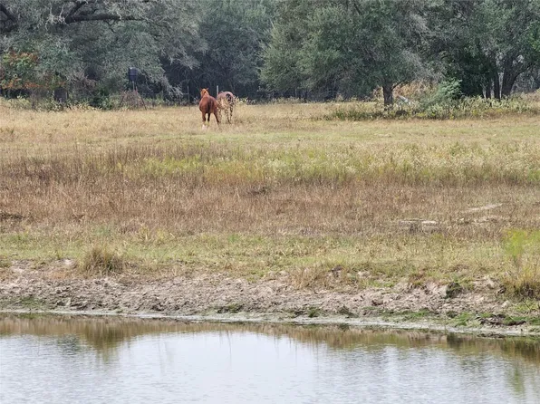 0 Schultz Rd, Columbus, TX 78934