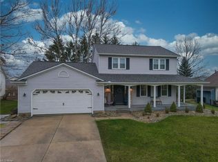 351 Lakeview Dr, Medina, OH 44256