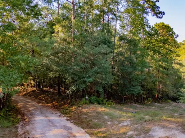 E Slumberlane Dr, Livingston, TX 77351