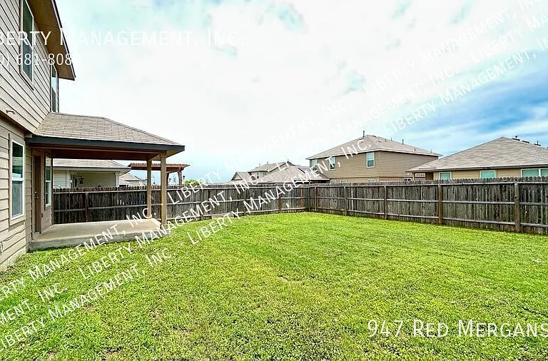 947 Red Merganser — Photo 35