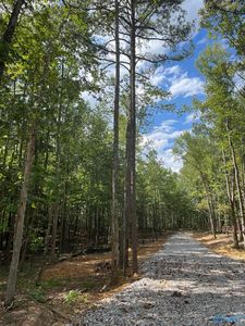 15111 Wade Point Rd SE, Huntsville, AL, 35803