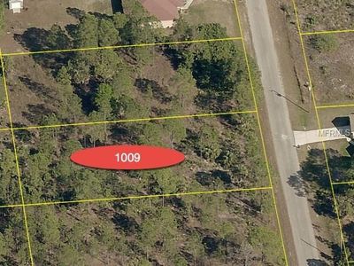 1009 Greenwood Ave, Lehigh Acres, FL, 33972