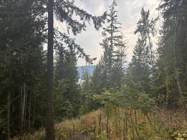 LOT 151 Columbia Dr, Columbia Shuswap, BC V0E 1M8