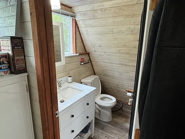 Bathroom sink, toilet
