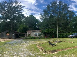 384 Barrow Rd, Reynolds, GA 31076