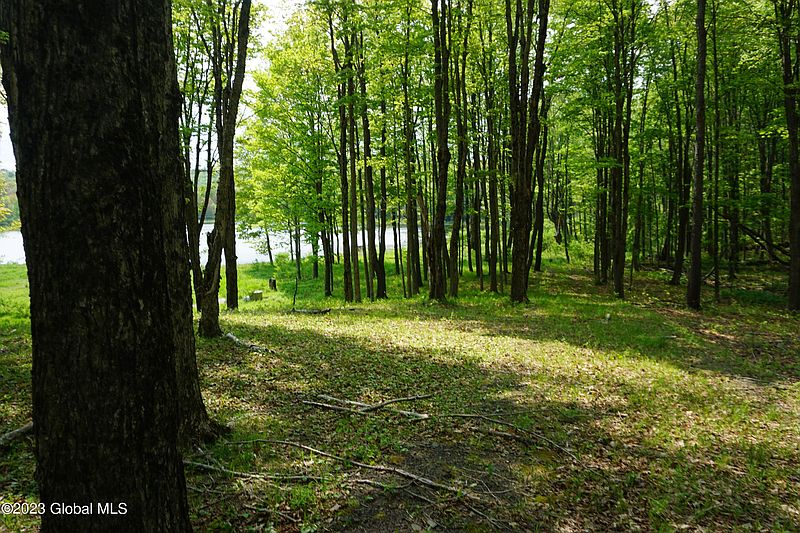 3rd image of 89 Thunder Hill Road