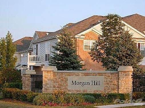 Morgan hill sub