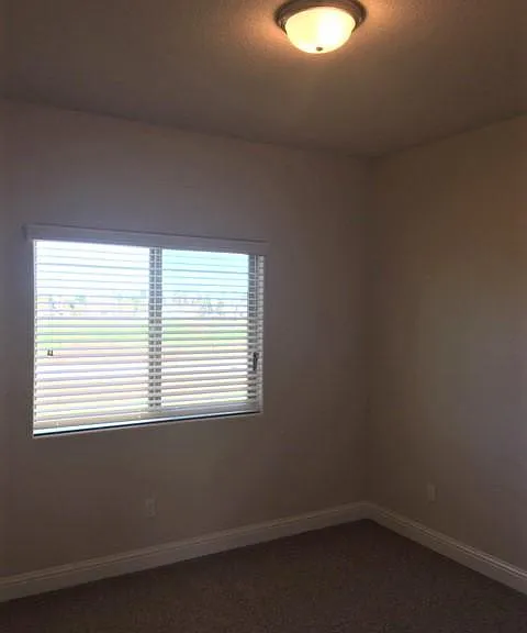 3747 Bonifacio Way — Photo 11