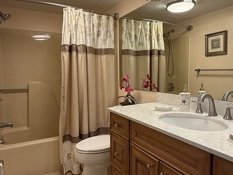 Guest Bathroom w/ shower/tub combo