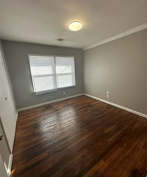 3519 Lometa Dr — Photo 3