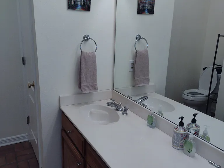 Master Bathroom 2