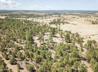 1441 Capps Ranch Rd, Show Low, AZ 85901