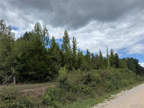 0 W County Road 482, Poplar Bluff, MO 63901