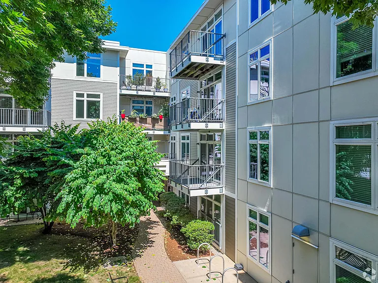 7 Cameron Apartments — Photo 6