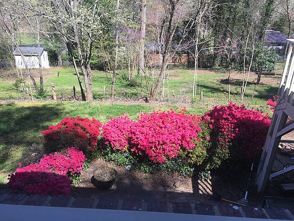 Backyard in spring