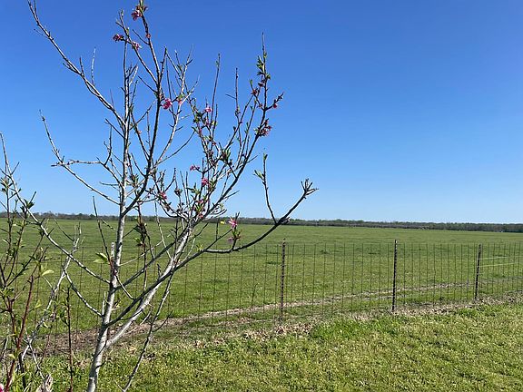 5th image of 350 County Road 2125
