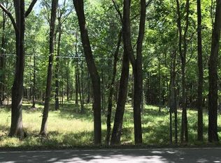 460 Long Pine Rd, Chapin, SC 29036