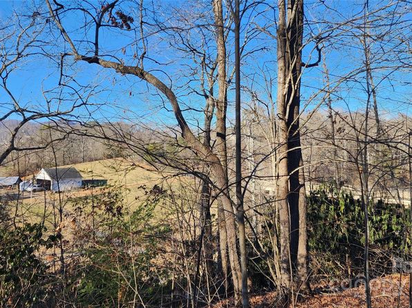 4 Coke Candler Ln, Candler, NC 28715