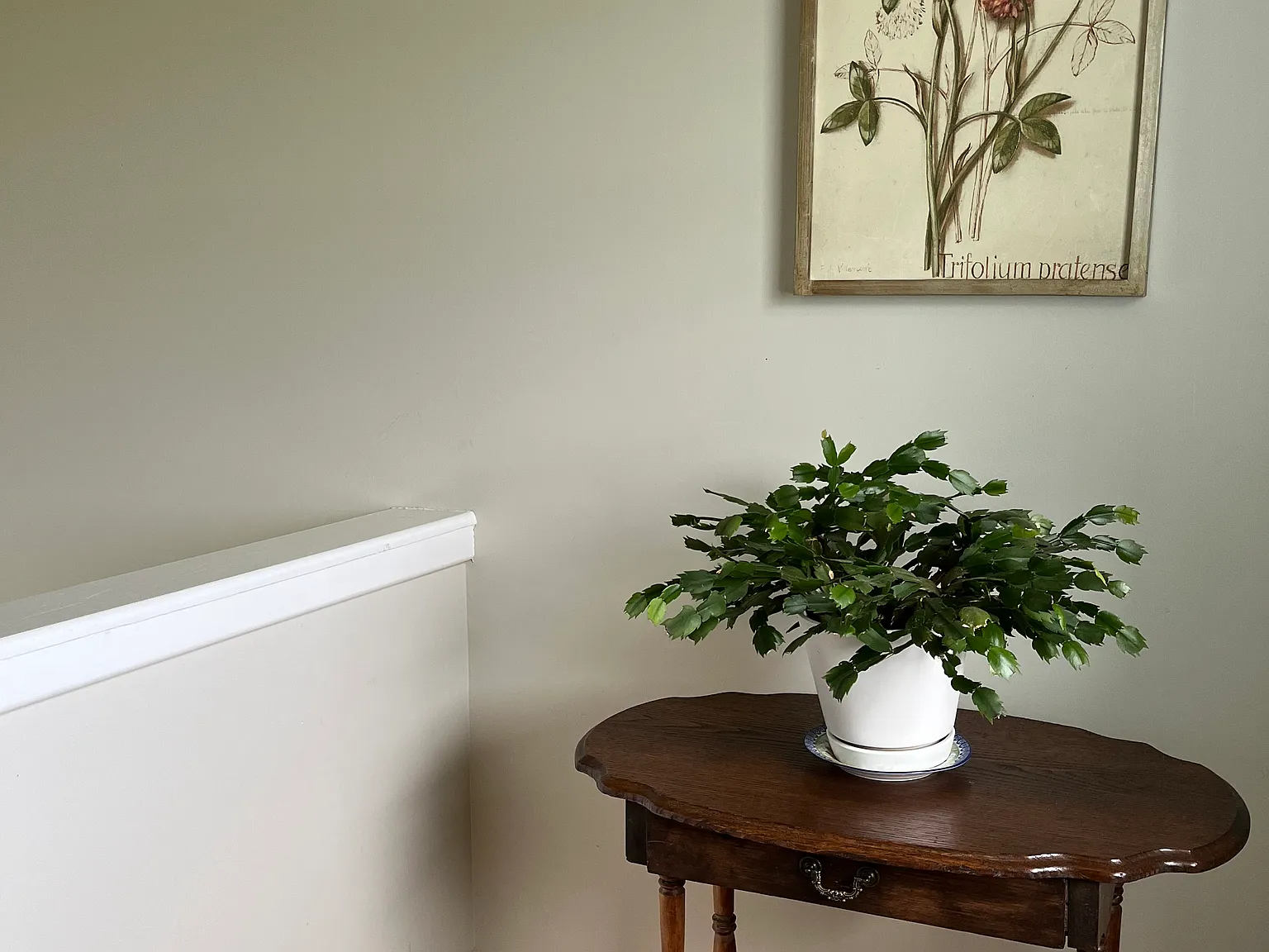 2 bed, 1200 sqft, $1,800 — Photo 4