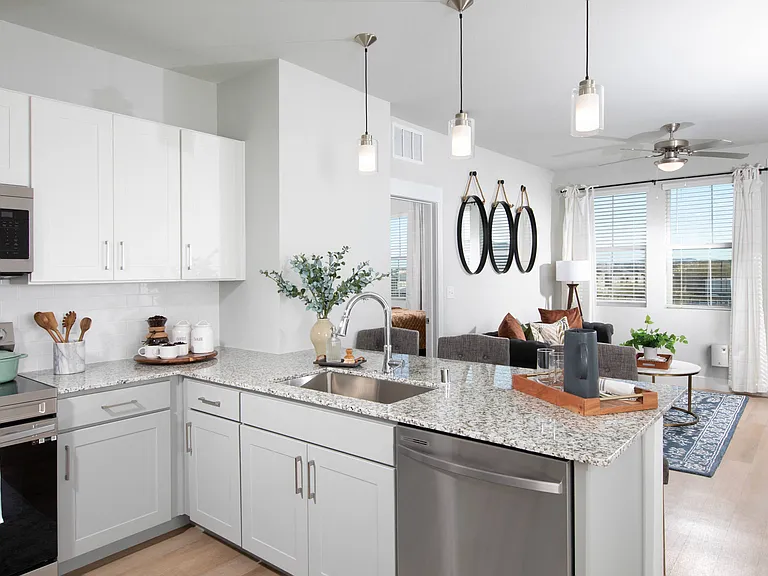 Mera Rhodes Ranch 55+ Active Adult — Photo 1