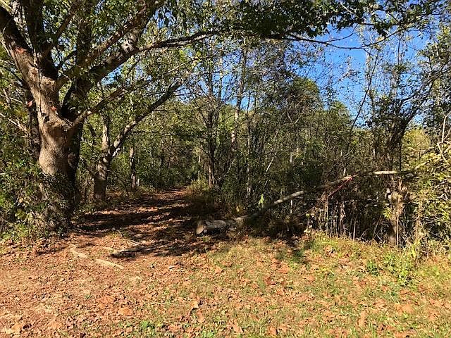 2nd image of LOT 13 Mooresburg Springs Rd