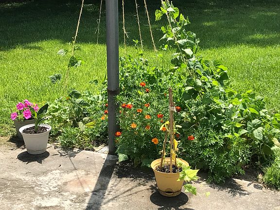 Gardeners’ paradise 