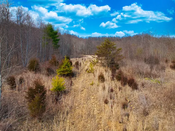 0 Covered Bridge Rd, Wallingford, KY 41093