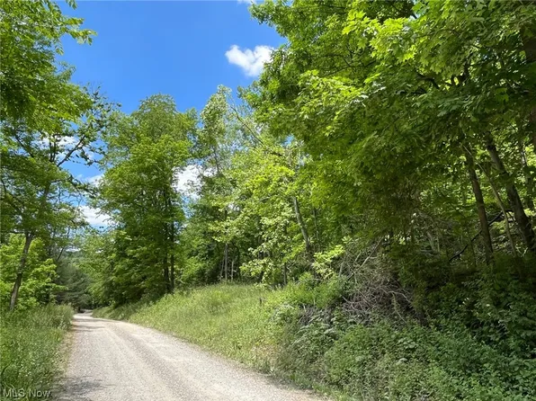 0 Rosenbush Rd, Newport, OH 45768