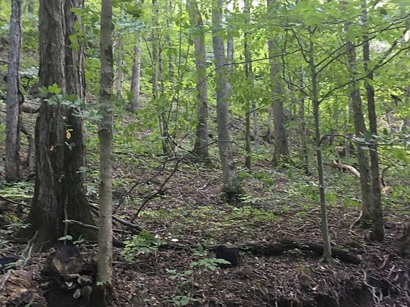 5th image of Off Of County Rd #1944