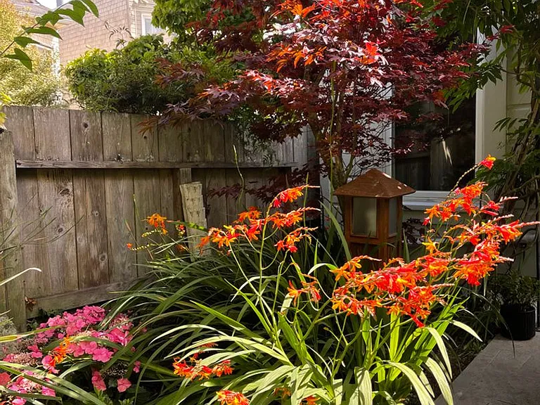 2937 Scott St — Photo 31