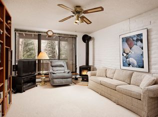 224 Vine St, Aspen, CO 81611