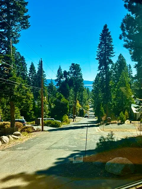 2 bed, 1064 sqft, $3,500 — Photo 2