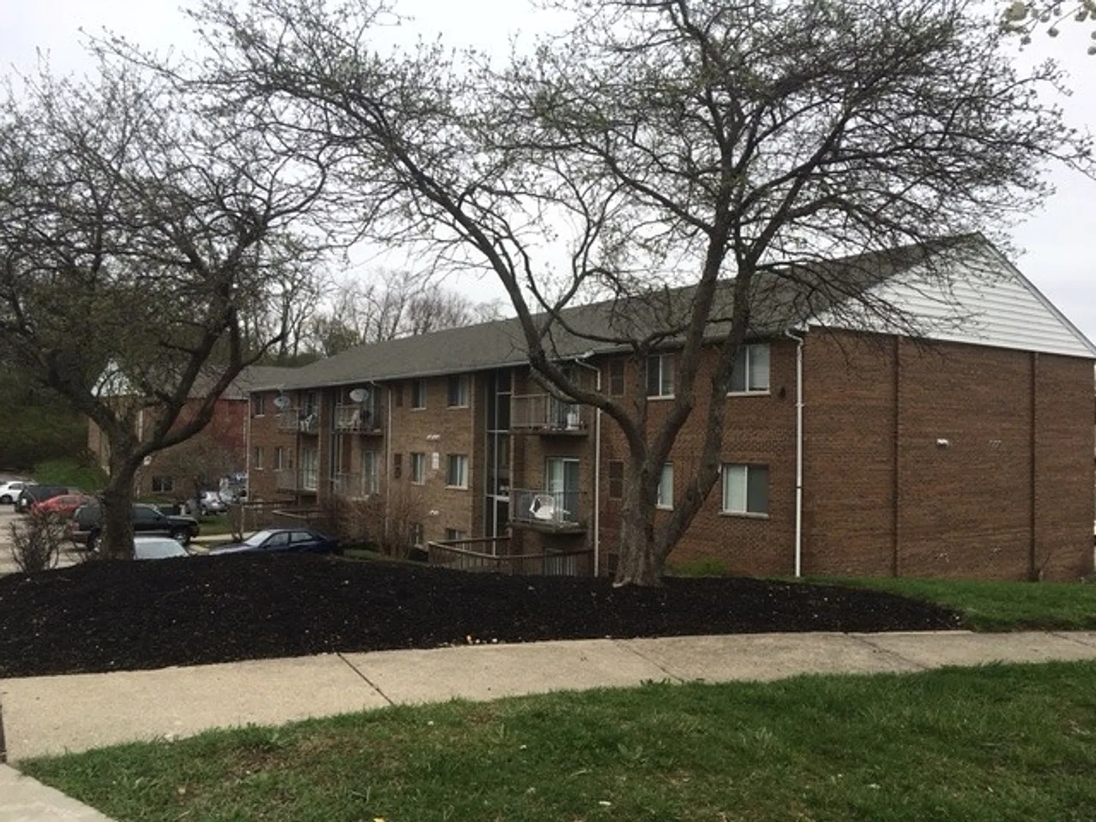 Yearling Court — Photo 3