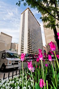 535 N Michigan Ave APT 2815, Chicago, IL, 60611