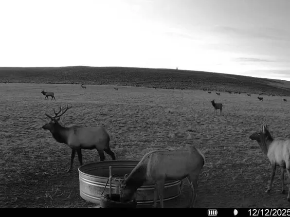 County Road 19, Maybell, CO 81640