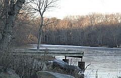 Trouth Stocked from other side