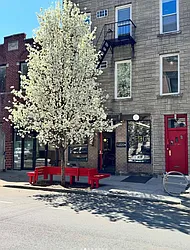 5-46 50th Avenue, #MIXED-USE