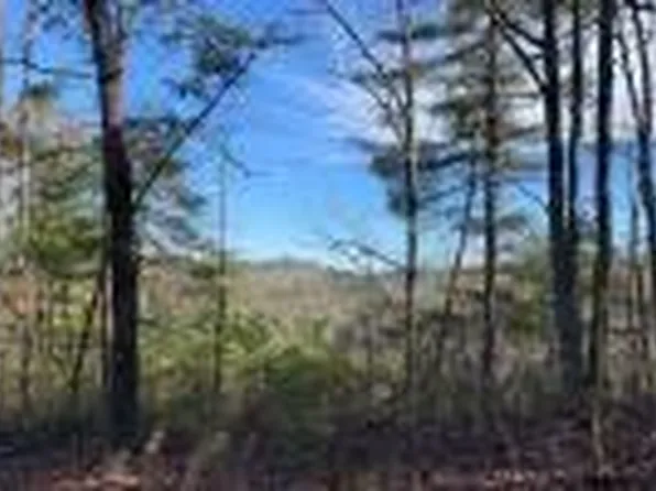 1025 Raccoon Rdg NE #1025, Ranger, GA 30734