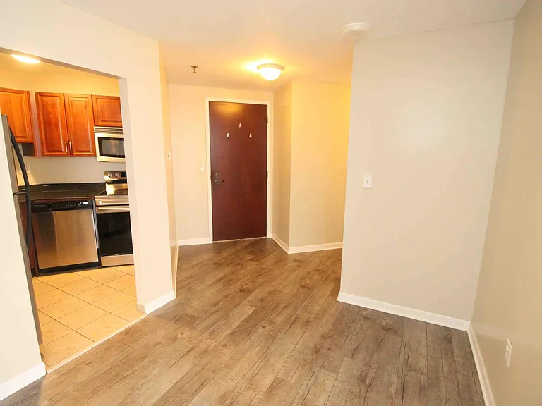 1001 W Jefferson Ave #300/29D — Photo 9