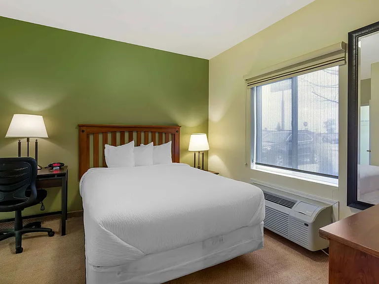1 Bedroom Suite - 1 Queen Bed