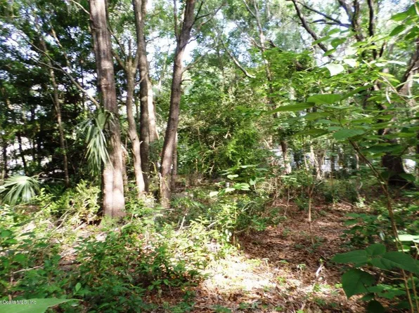 6472 W Riverbend Rd, Dunnellon, FL 34433