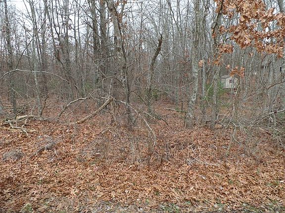 2nd image of 249 Thrushwood Dr