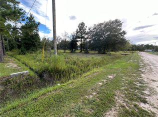 85 David Trl, Waynesville, GA 31566