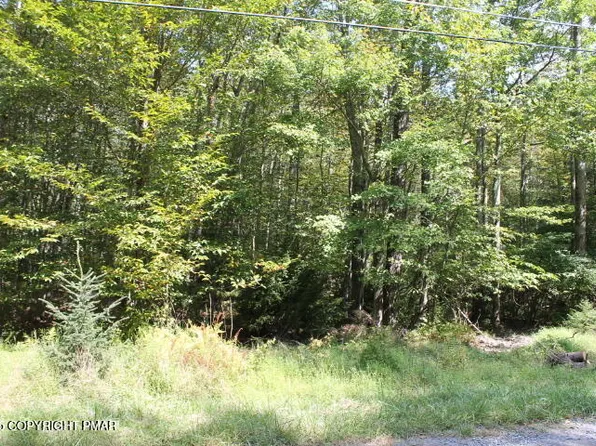 Sheshequin Dr #24, Pocono Lake, PA 18347