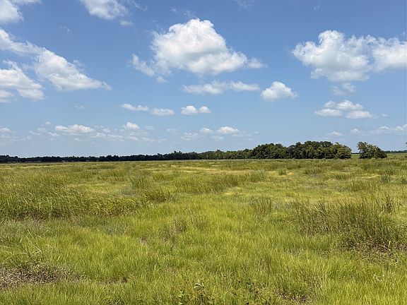 5th image of 3020 Tbd County Rd