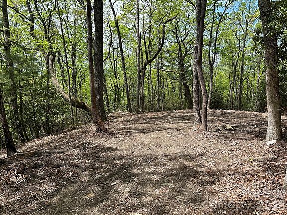 3rd image of 0 John Delk Rd #2&6