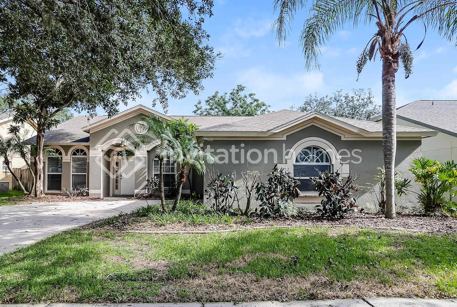 2822 Laurel Leaf Dr Valrico, FL 33594 — Photo 1