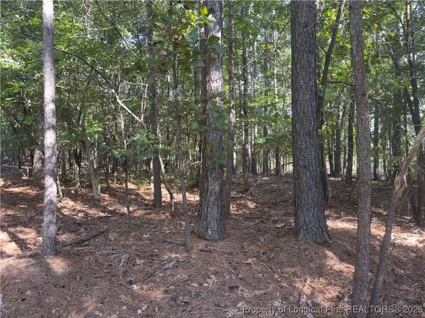 87 Canterbury Rd, Sanford, NC 27332