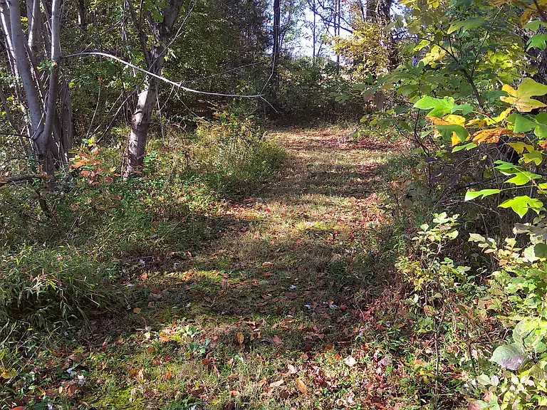 Burnt Acres Ct — Photo 16