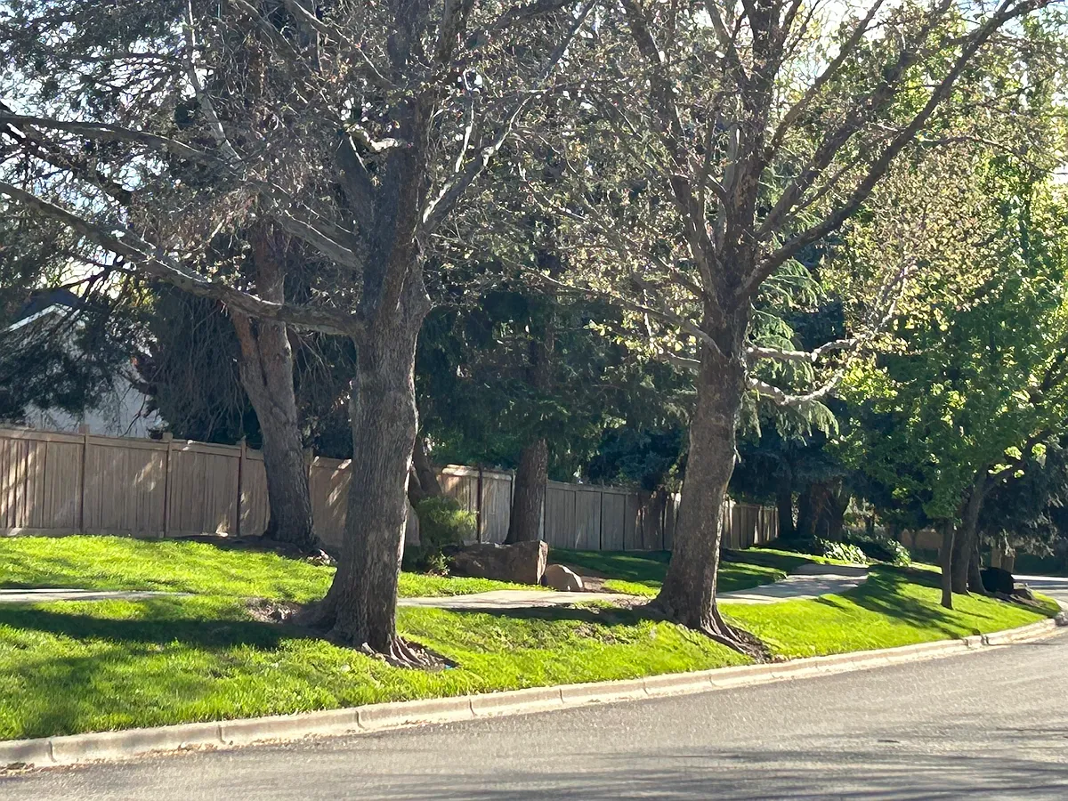 Subdivision has beautiful walking paths for families to use. - 16903 N Thurgood Loop